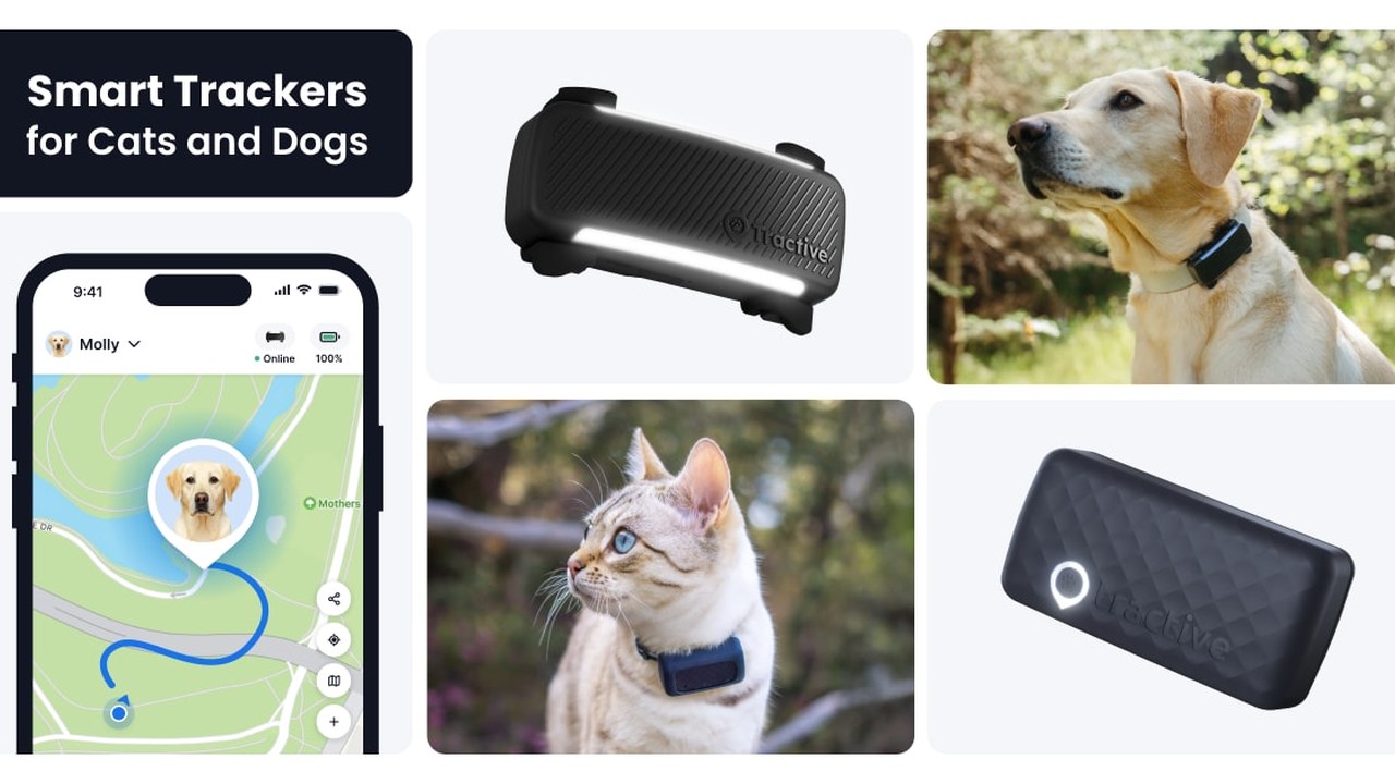Copertina Recensione Tractive GPS Dog Tracker (2026): il collare che trova il cane