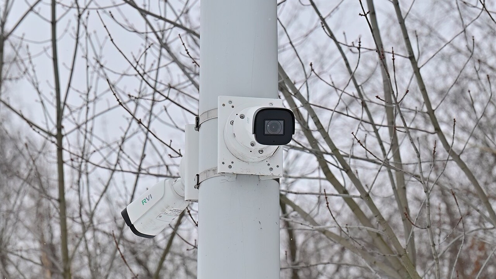 Copertina Recensione Reolink Duo 3 PoE (2026): due telecamere in un solo cavo